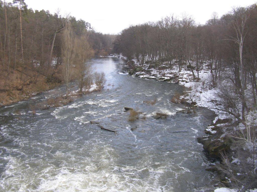 Буки з panoramio.com - Буки