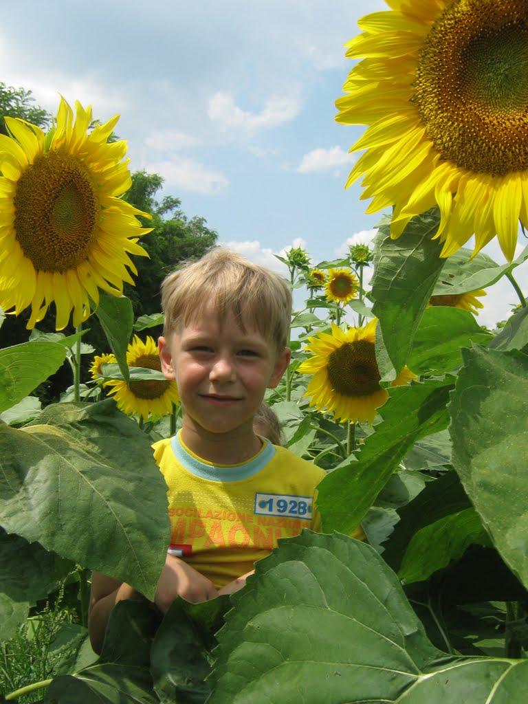 Маньківка з panoramio.com - Маньковка