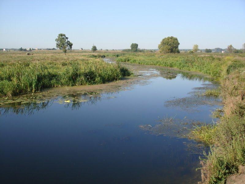 Новосілки з panoramio.com - Новосілки