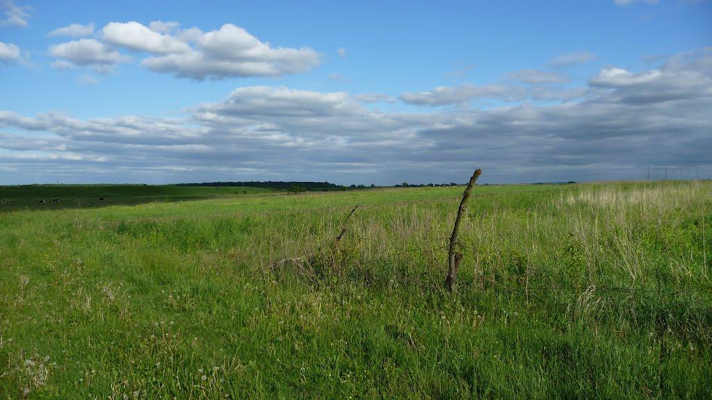 Любашівка з panoramio.com - Любашевка