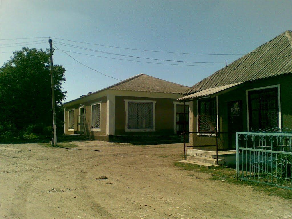 Олексіївка з panoramio.com - Алексеевка