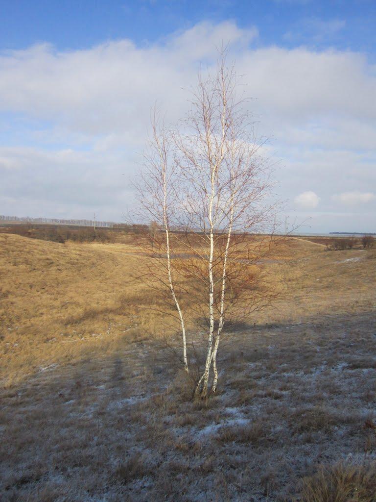 Висока Яруга з panoramio.com - Висока Яруга