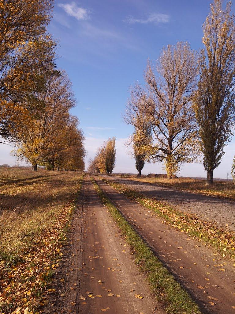 Лозова з panoramio.com - Лозова