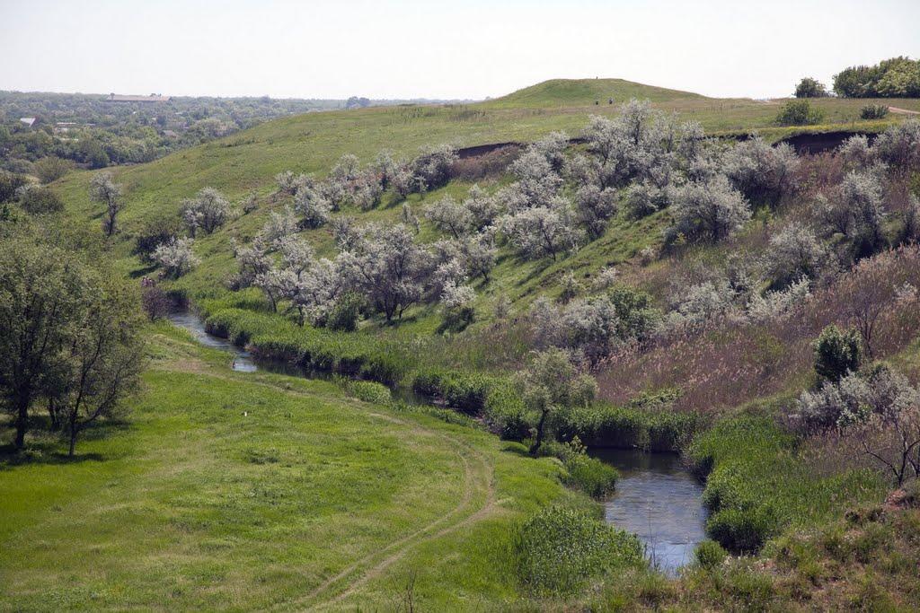 Осипенко з panoramio.com - Осипенко