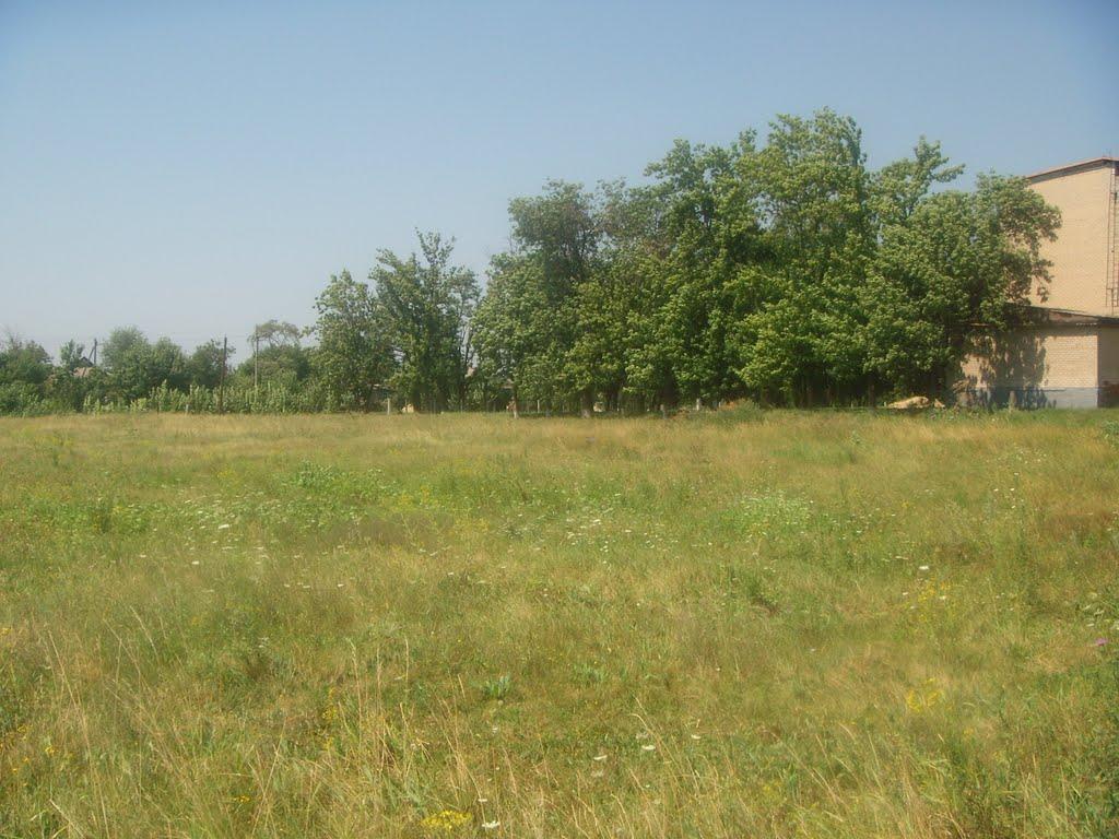 Петропавлівка з panoramio.com - Петропавлівка