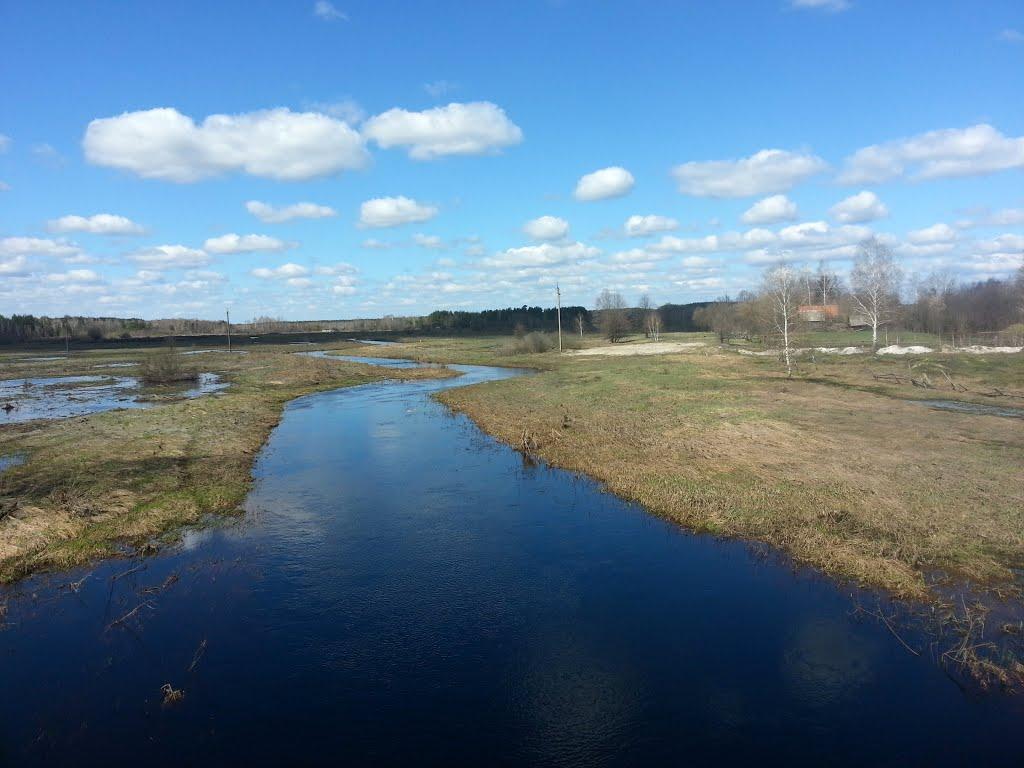 Нівецьке з panoramio.com - Нивецкое