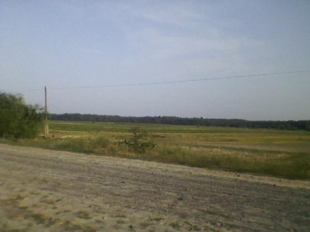 Селісок з panoramio.com - Селісок