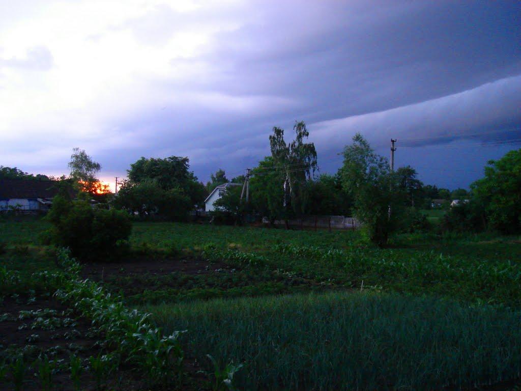 Гайворон з panoramio.com - Гайворон