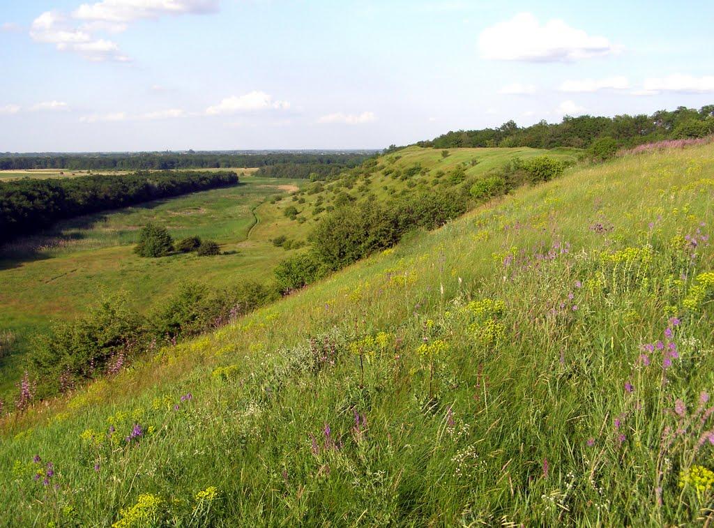 Дубове з panoramio.com - Дубове