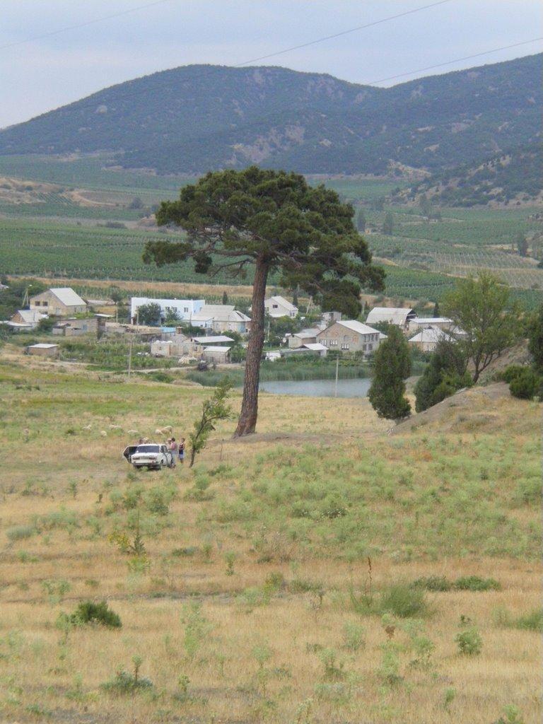 Долина з panoramio.com - Долина
