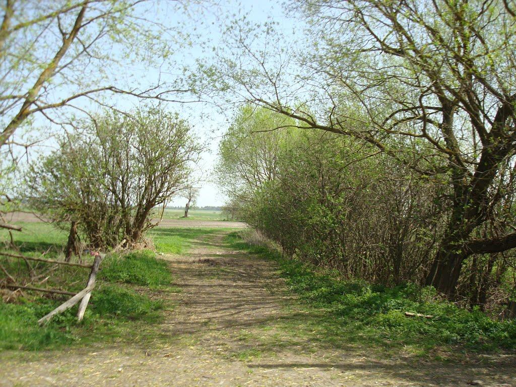 Дроздні з panoramio.com - Drozdni