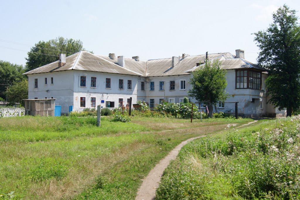 Мартинівське з panoramio.com - Мартинівське