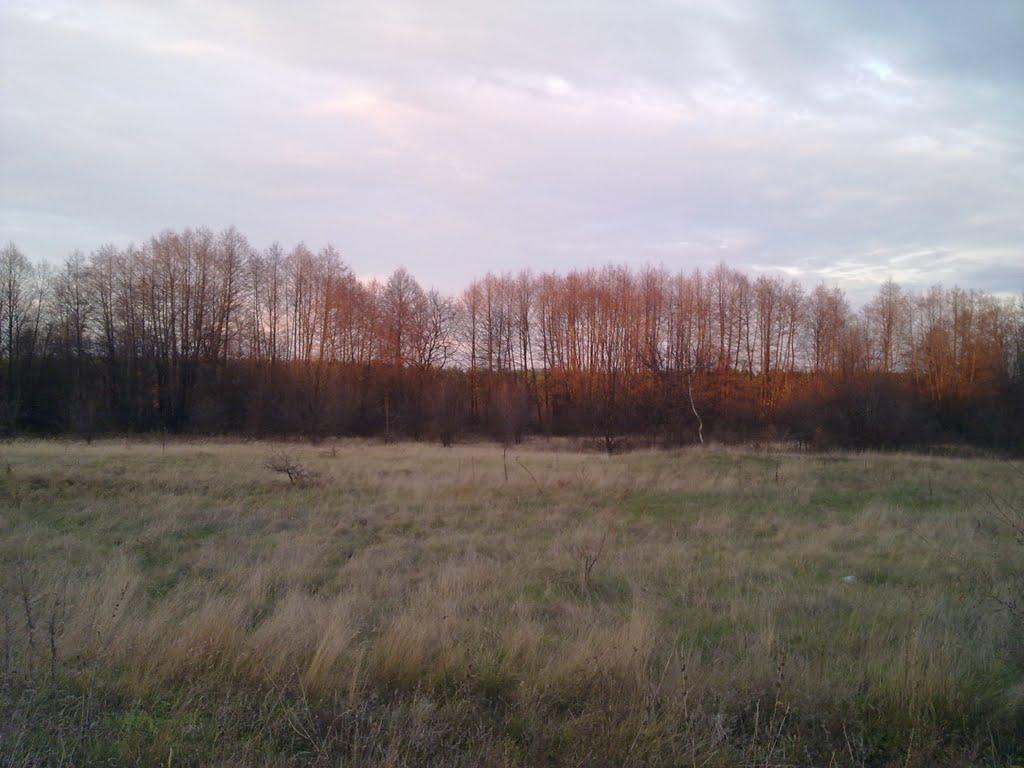 Яцьківка з panoramio.com - Яцьківка