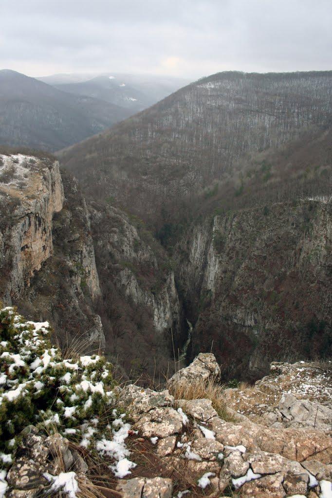 Богатир з panoramio.com - Богатир