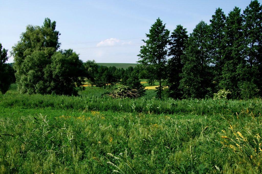 Яблунівка з panoramio.com - Яблунівка