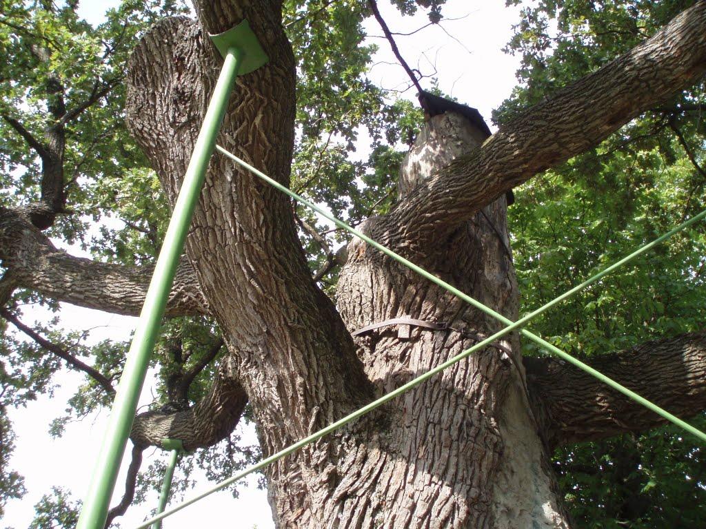 Будище з panoramio.com - Будище