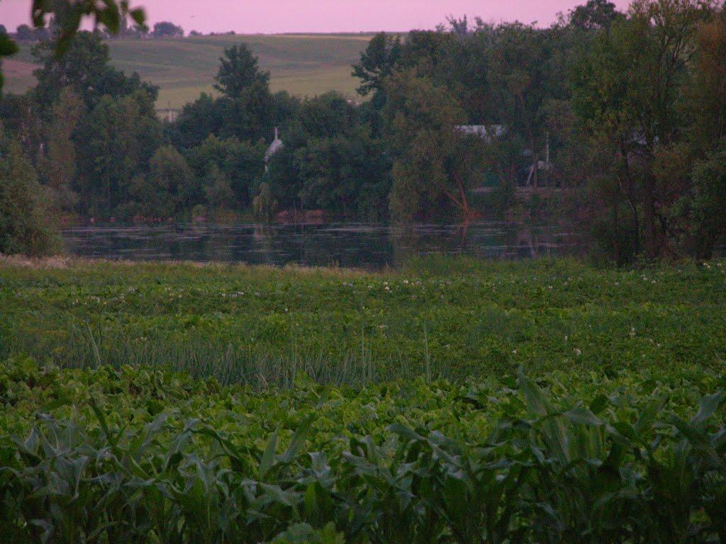 Олексіївка з panoramio.com - Олексіївка