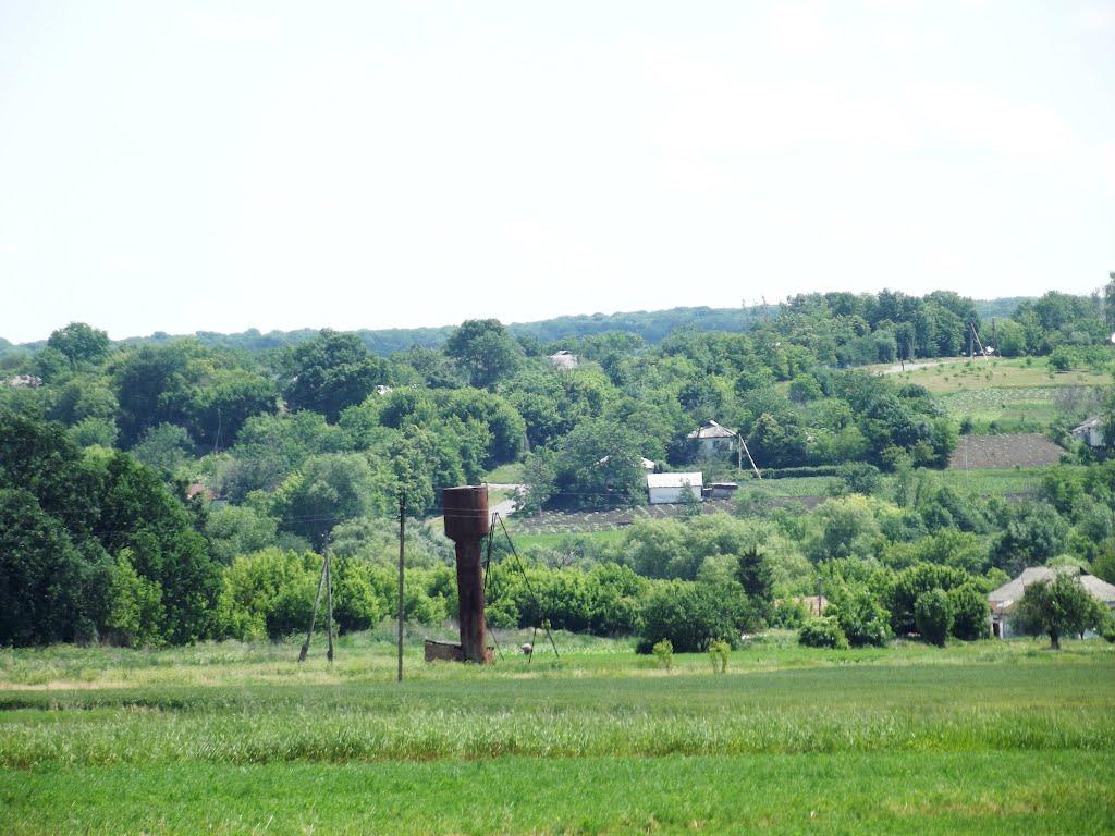 Романівка з panoramio.com - Romanivka