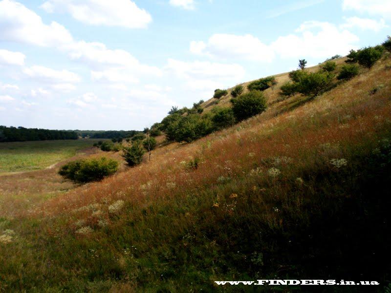 Дубове з panoramio.com - Дубове