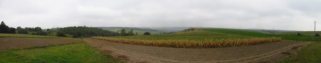 Панасівка з panoramio.com - Панасівка