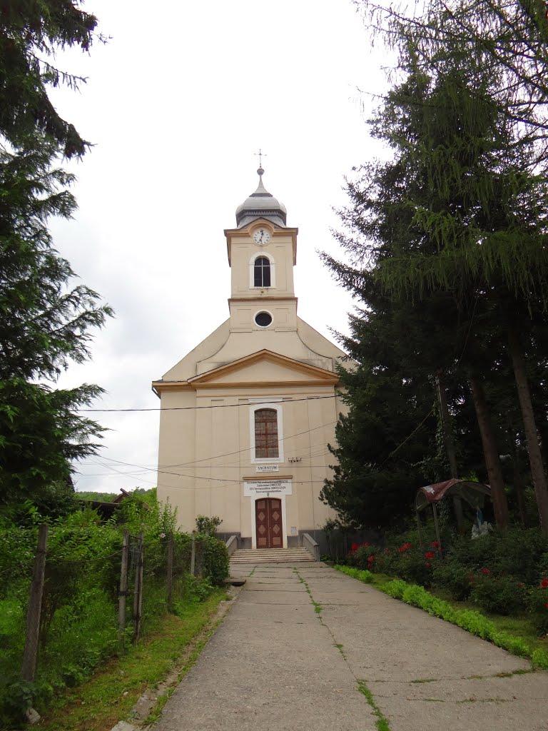 Великий Бичків з panoramio.com - Великий Бичків