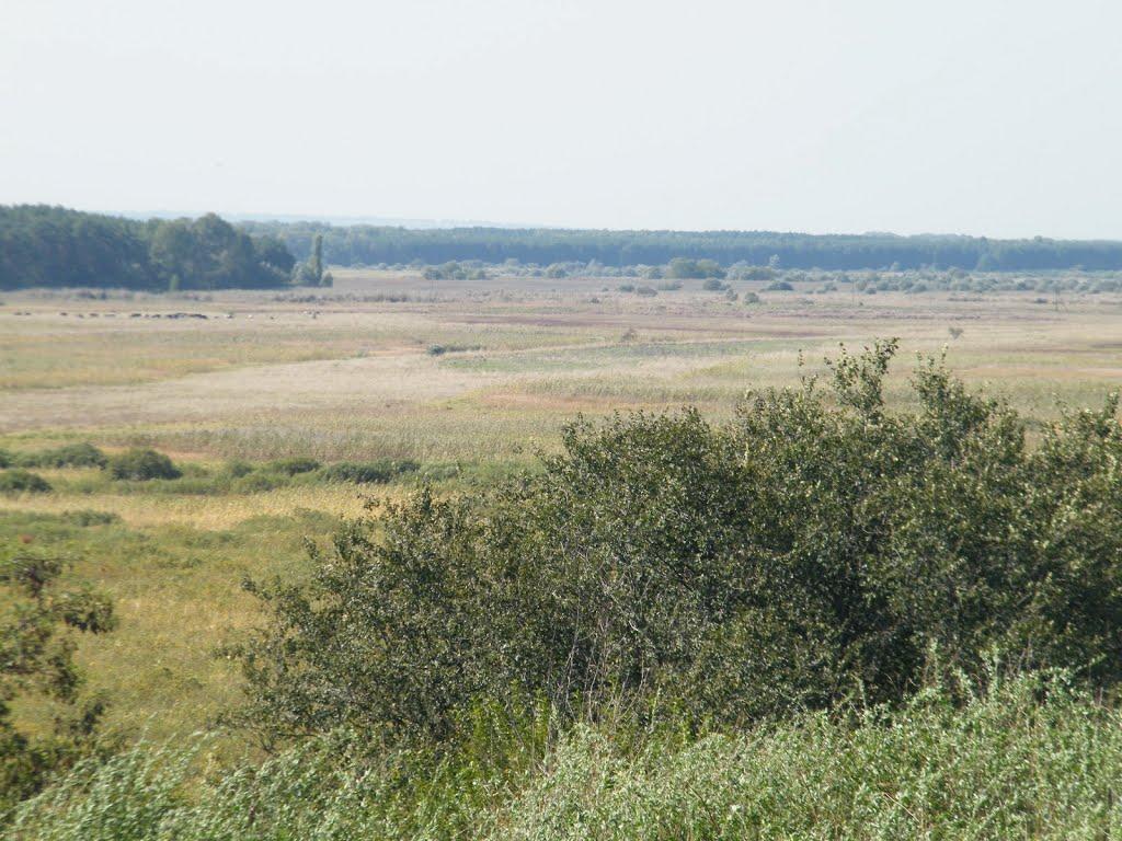 Григоро-Бригадирівка з panoramio.com - Grygoro-Brygadyrivka