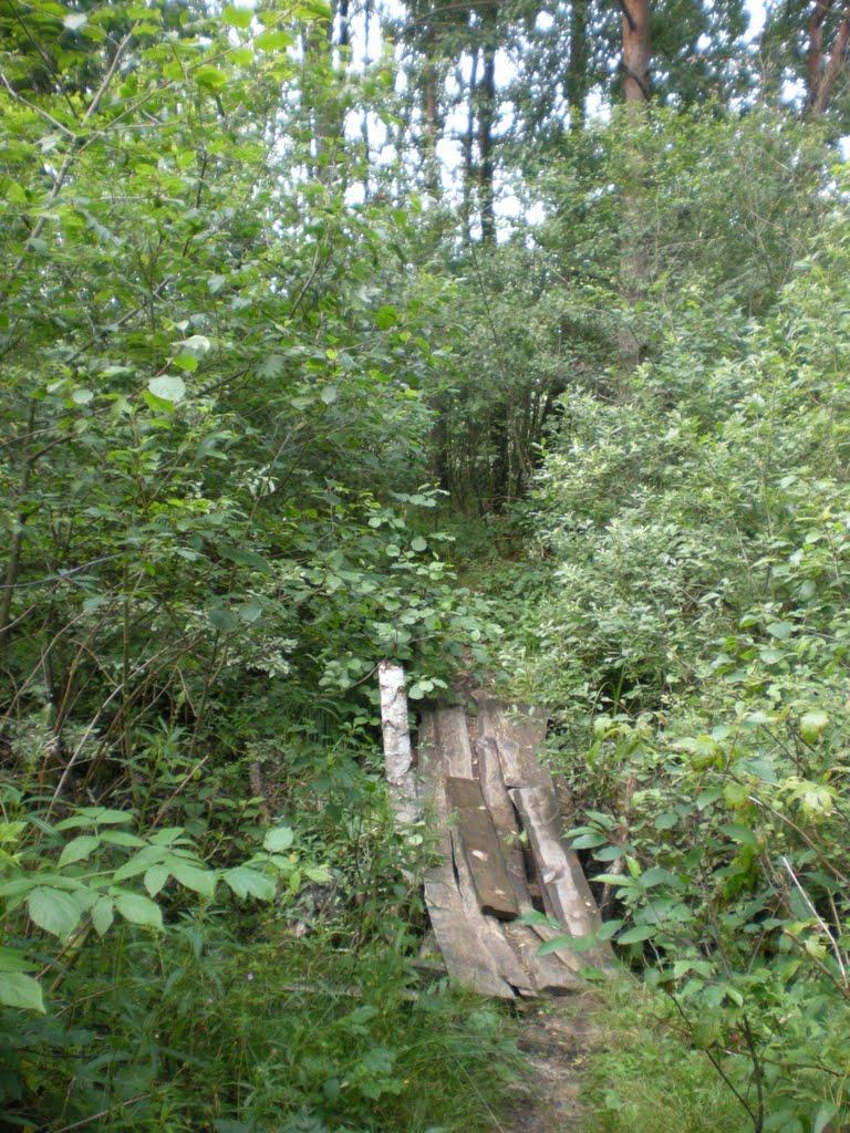 Селісок з panoramio.com - Селісок