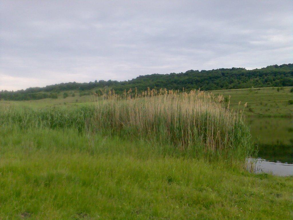 Гонората з panoramio.com - Гонората