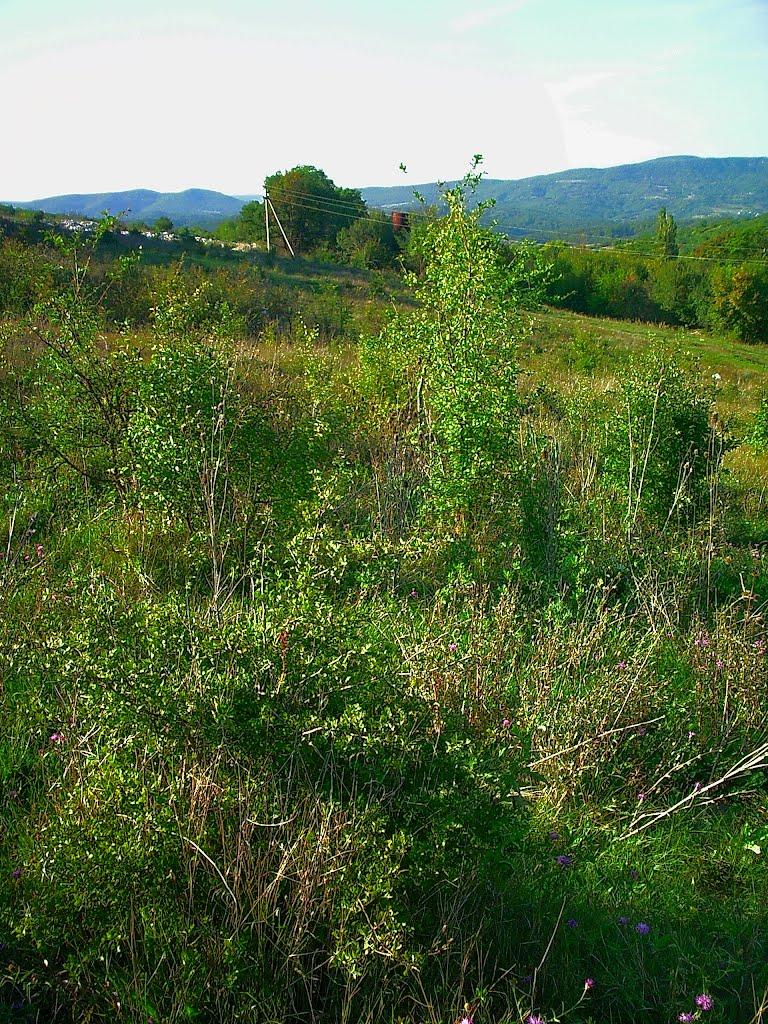 Соколине з panoramio.com (ч.2) - Соколиное