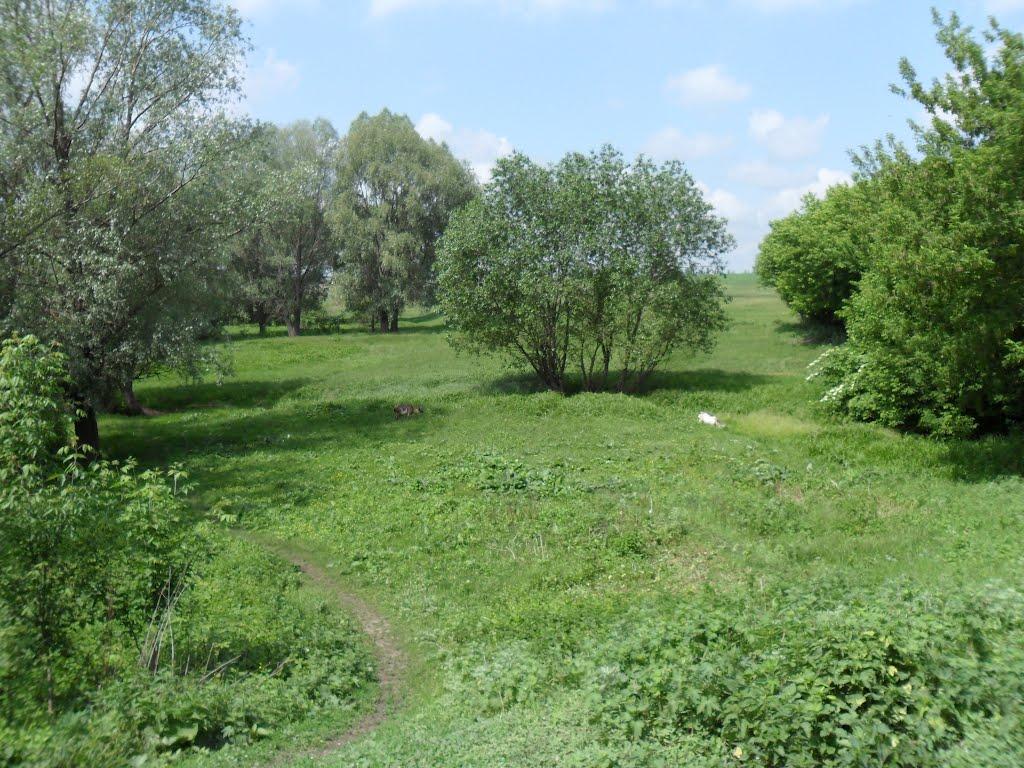 Веселий Гай з panoramio.com - Веселий Гай