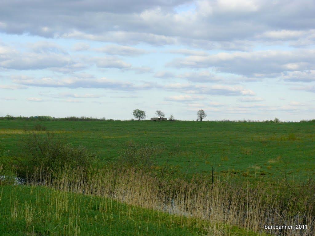 Нові Білокоровичі з panoramio.com - Нові Білокоровичі