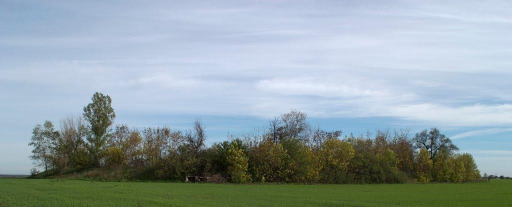 Вовніги з panoramio.com - Вовніги