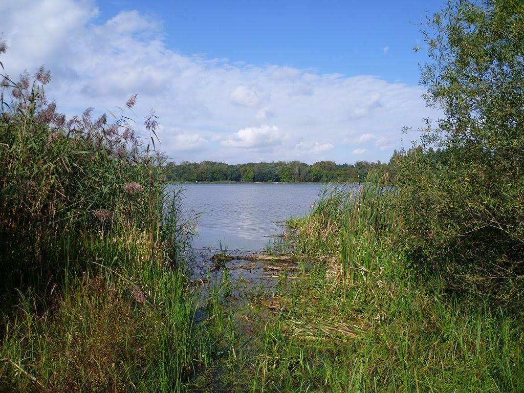 Малечковичі з panoramio.com - Малечковичі