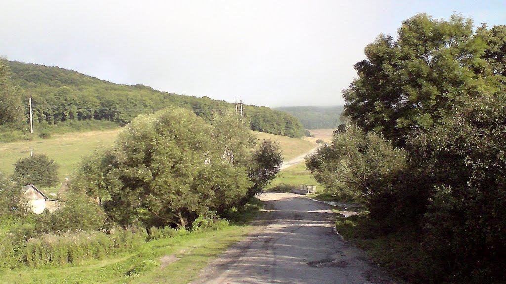 Нараїв з panoramio.com - Нараїв