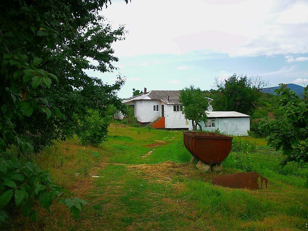 Богатир з panoramio.com - Богатир