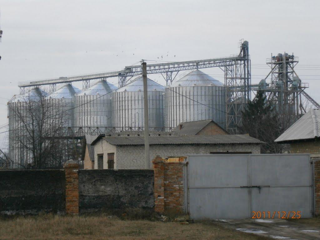 Христинівка з panoramio.com - Христиновка