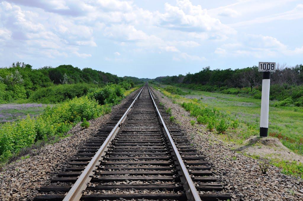 Лисе з panoramio.com - Лысое