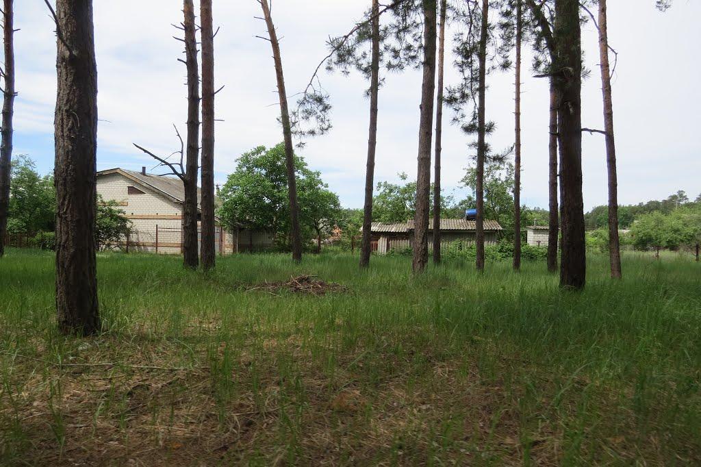 Михайлівка з panoramio.com - Михайловка