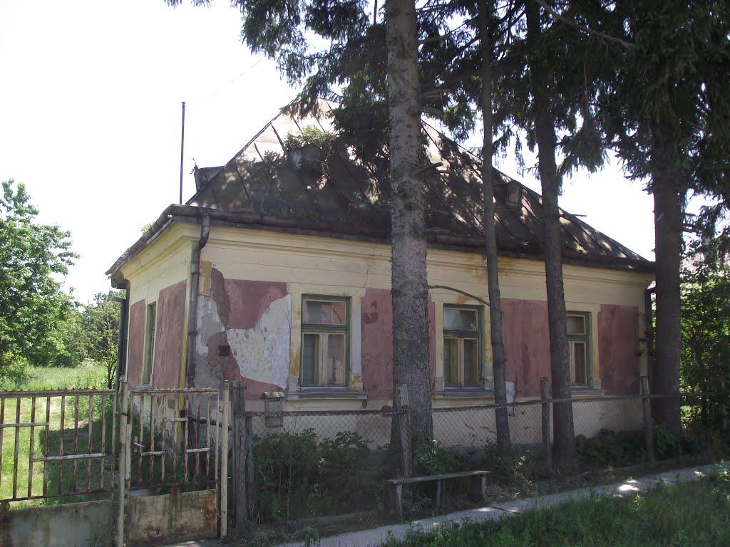 Велика Паладь з panoramio.com - Великая Паладь