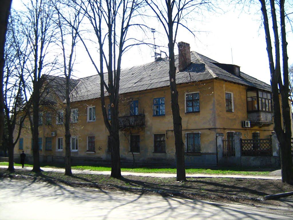 Кам'яне Поле з panoramio.com - Каменное Поле