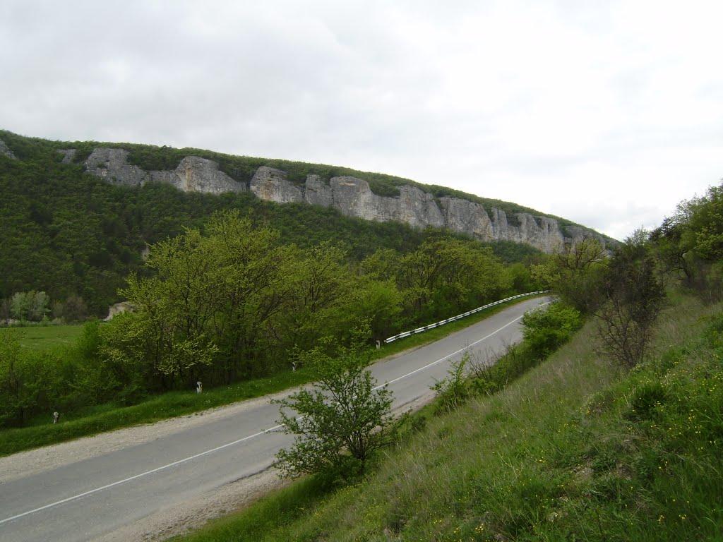 Велике Садове з panoramio.com - Velyke Sadove