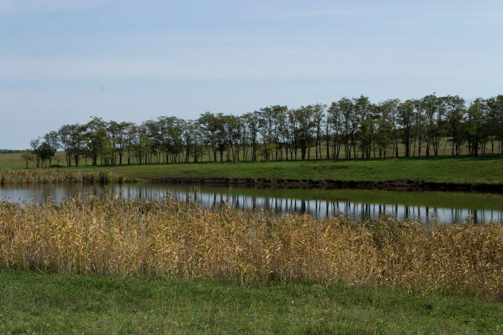 Радісне з panoramio.com - Радісне