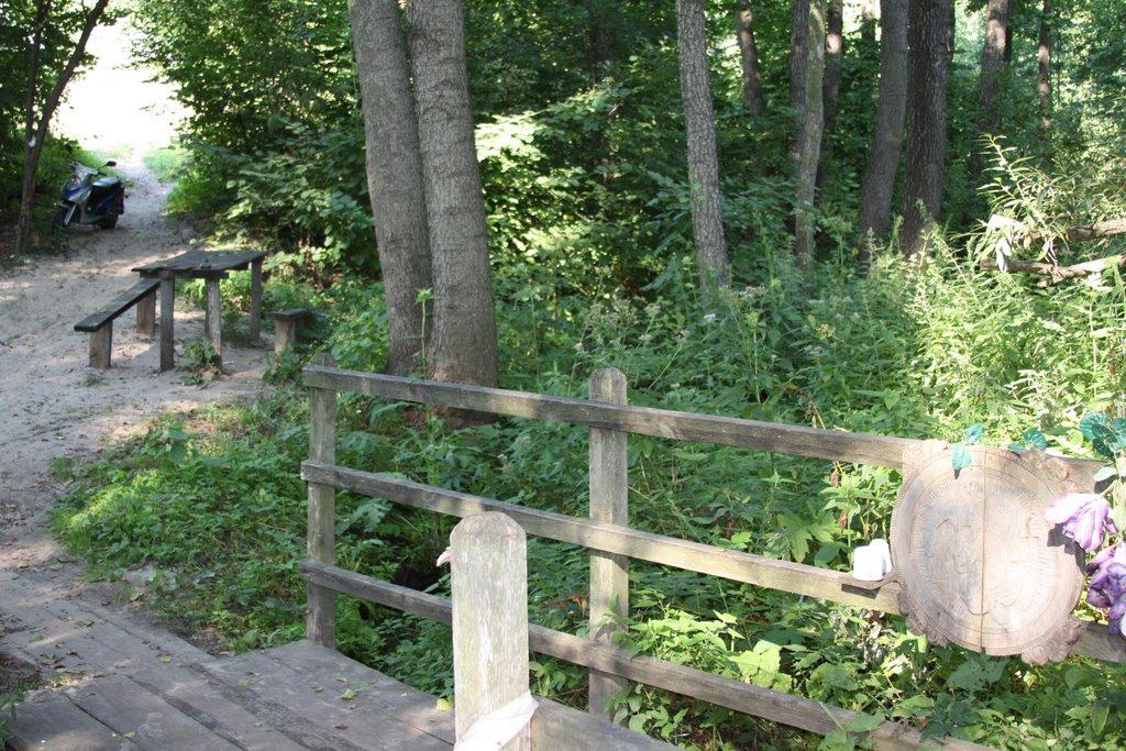 Тарасенки з panoramio.com - Тарасенки