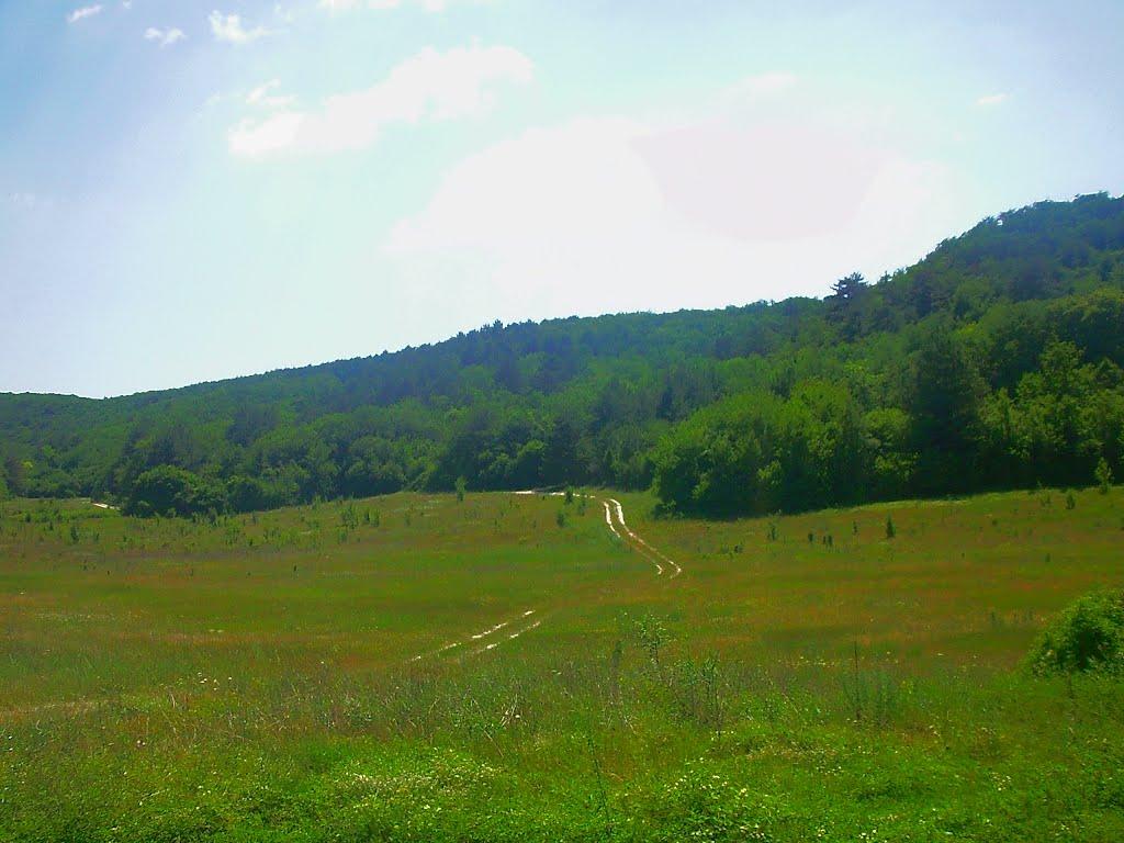 Велике Садове з panoramio.com - Velyke Sadove