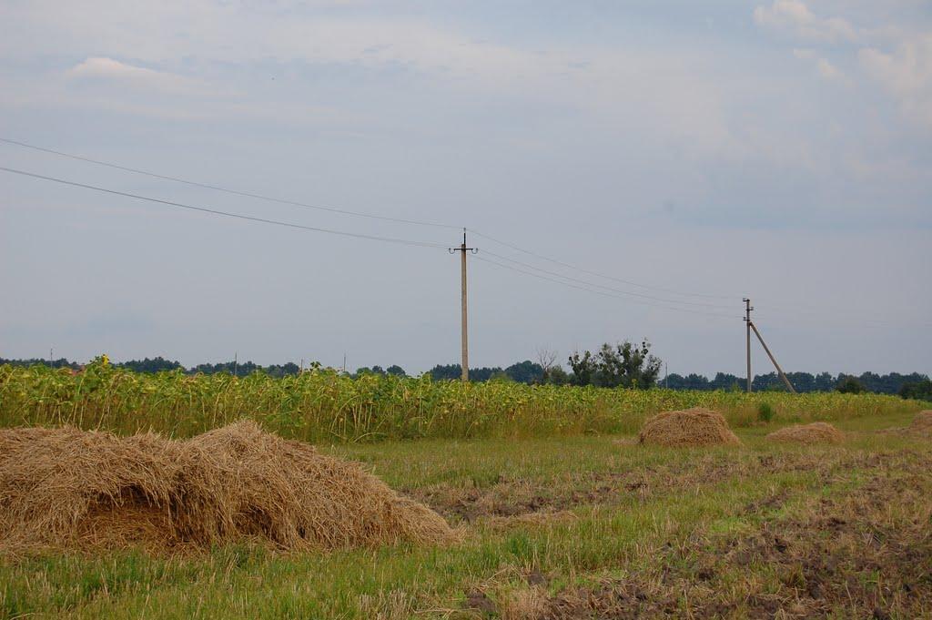 Ладижин з panoramio.com (ч.2) - Ладыжин