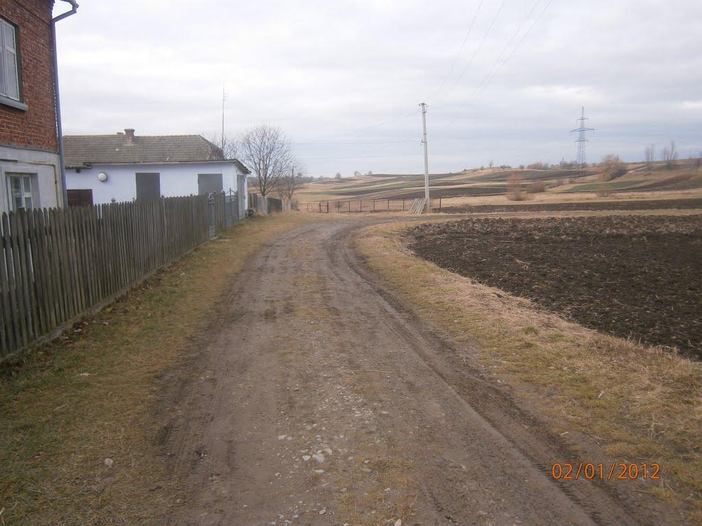 Берездівці з panoramio.com - Berezdivtsi
