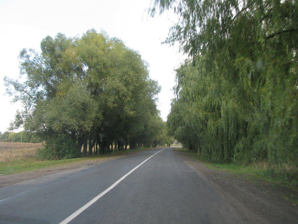 Поділ з panoramio.com - Подол