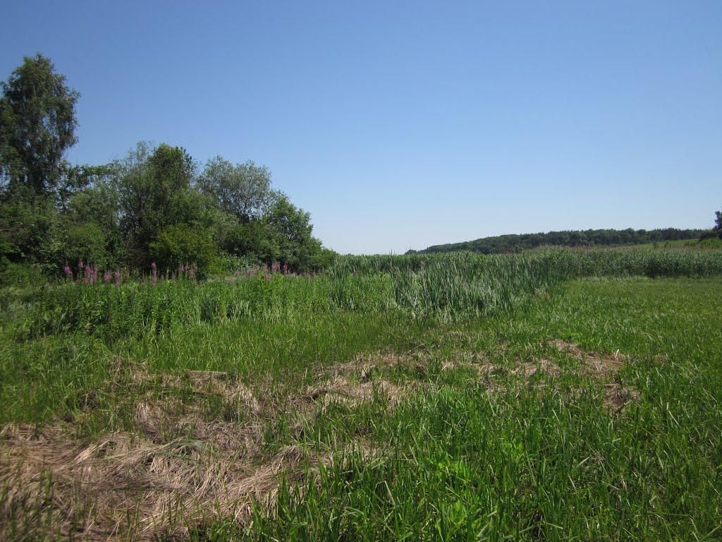 Киселі з panoramio.com - Киселі