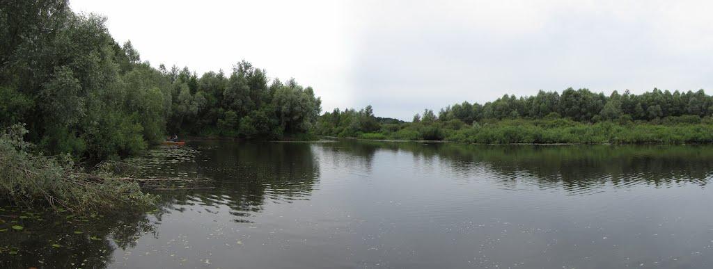 Скиток з panoramio.com - Скиток