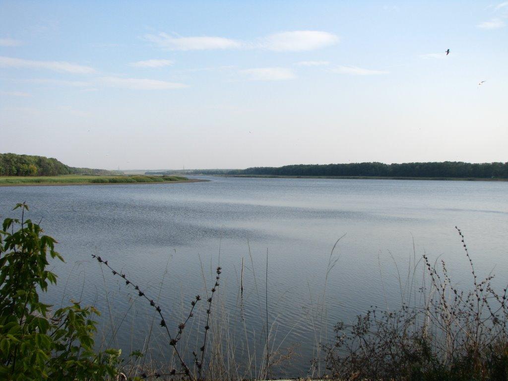 Брагинівка з panoramio.com - Залізничне
